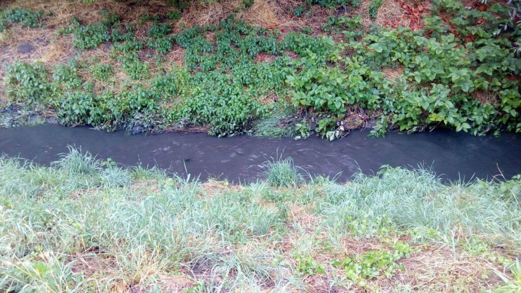 Fekete színűvé vált a Kenyérmezei-patak