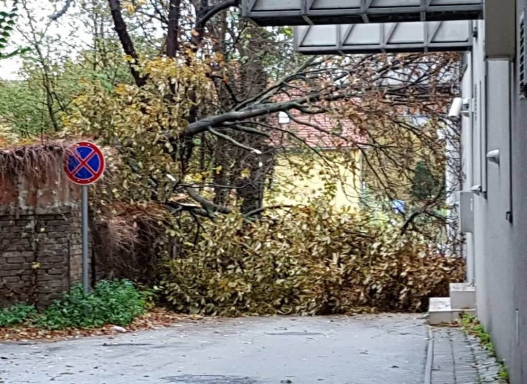 Károkat okoz a szél Dorogon